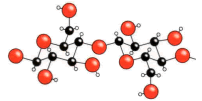 Modell eines Zellulosemoleküls; Bild: VKE